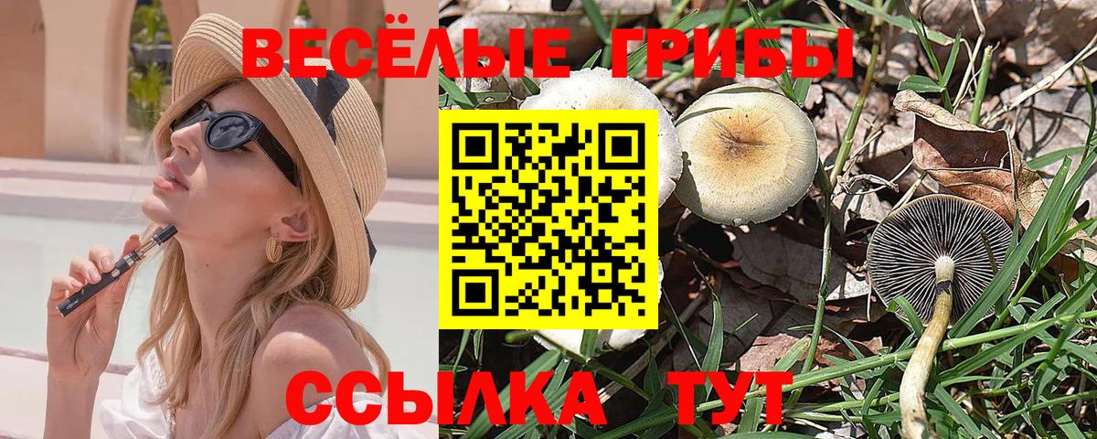 Псилоцибиновые грибы мухоморы  Вход с VPN  Липецк  Галлюциногенные грибы Cubensis 