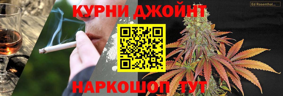 Канабис семена  Конопля MAZAR  Канабис AK-47  Липецк  Вход с VPN 